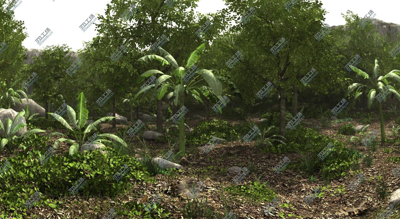 images/goods_img/202104094/Jungle Scene/4.jpg